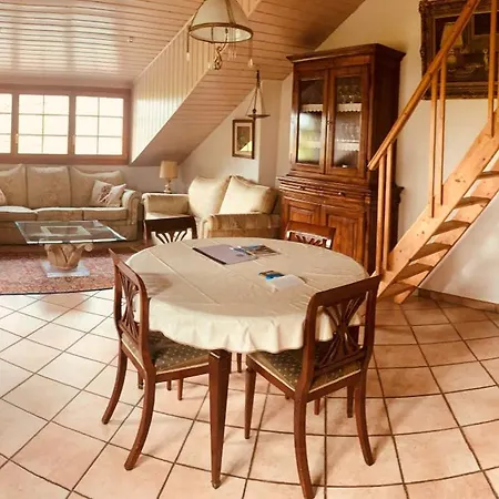 Paola Paradise Forel