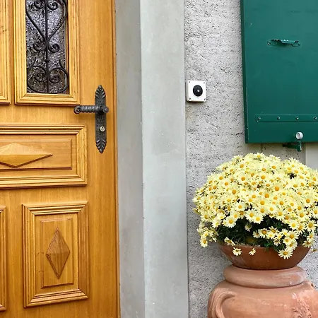 Paola Paradise Daire