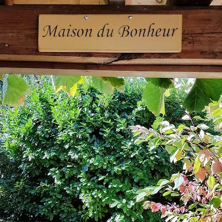 Paola Paradise Daire