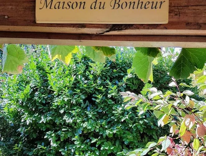 Paola Paradise Apartament